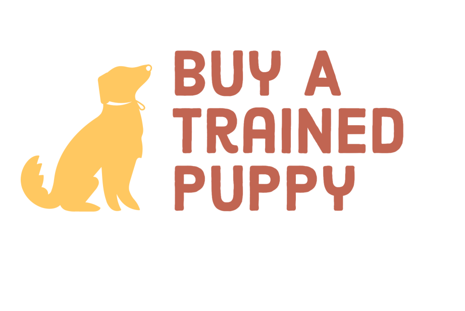 Buy A Trained Puppy